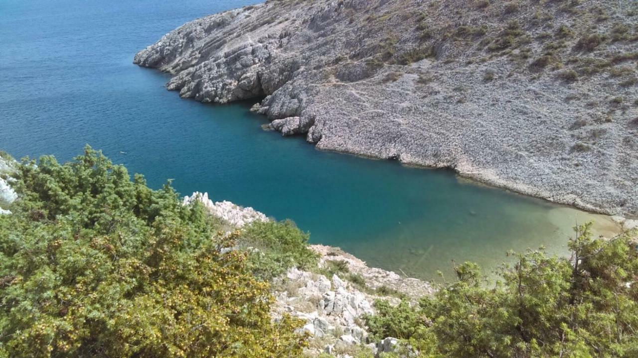 Apartment Kod Stipe Vrsi Bagian luar foto