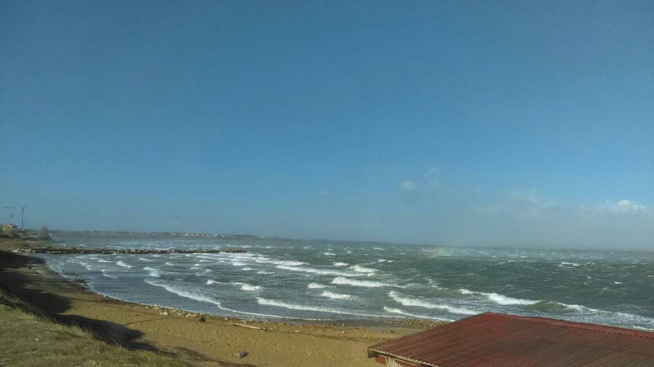 Apartment Kod Stipe Vrsi Bagian luar foto